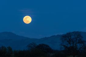 Super Moon near Santa Rosa, California on the first day of Spring with mountains, oaks, and yellow Mustard in bloom.
