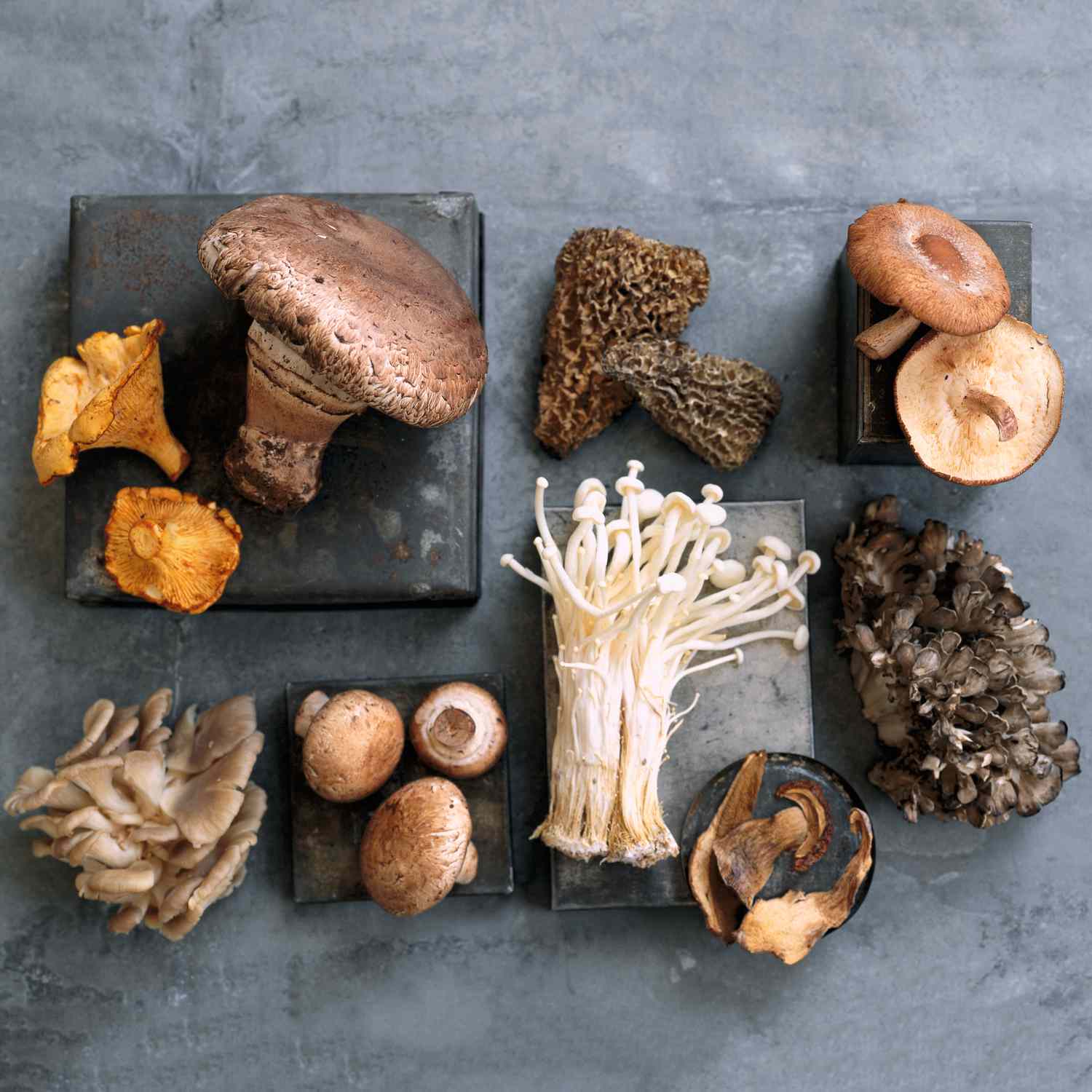assorted mushroom varieties