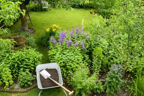Garden with wheelbarrow filled with mulch 