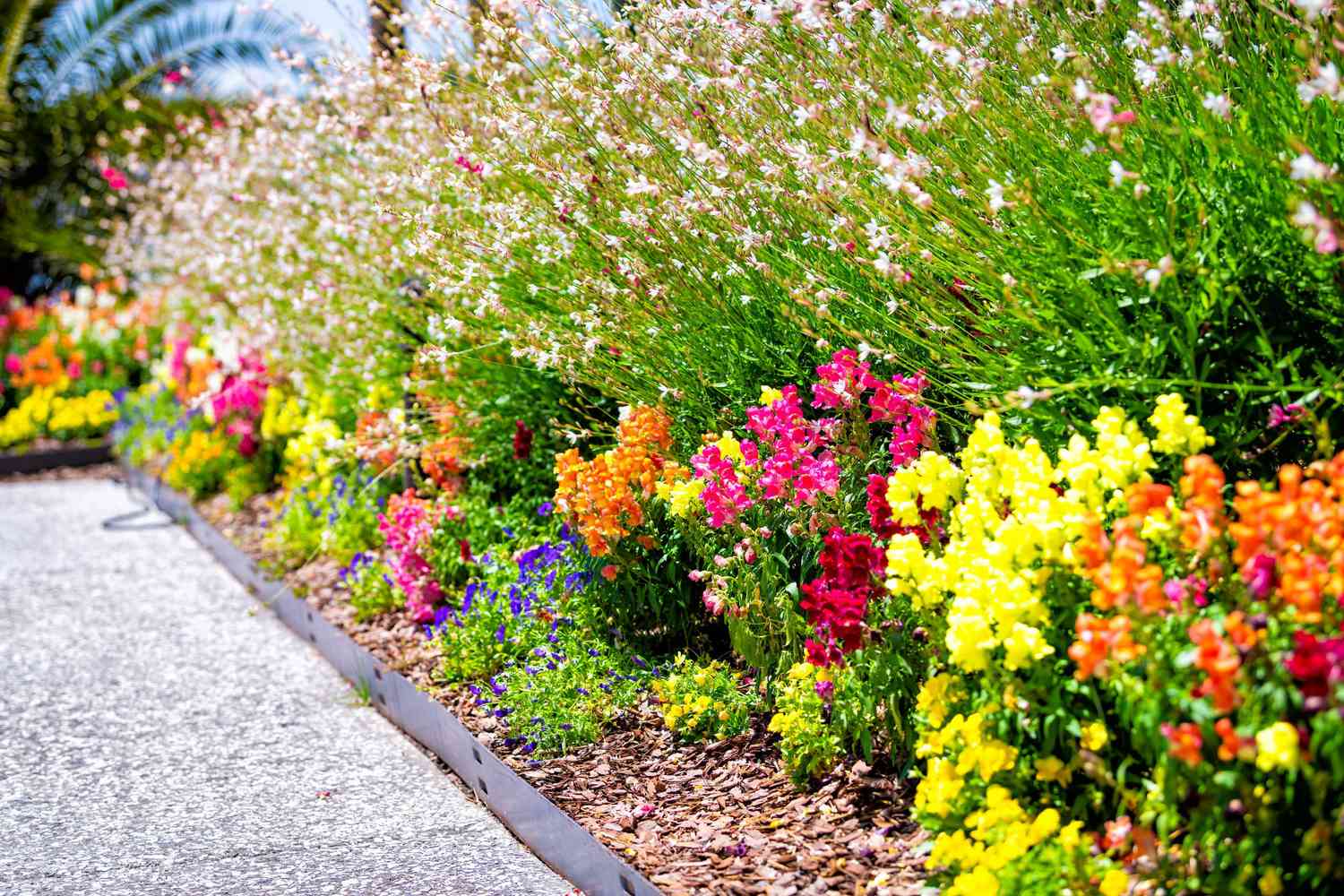 flower bed garden with mulch