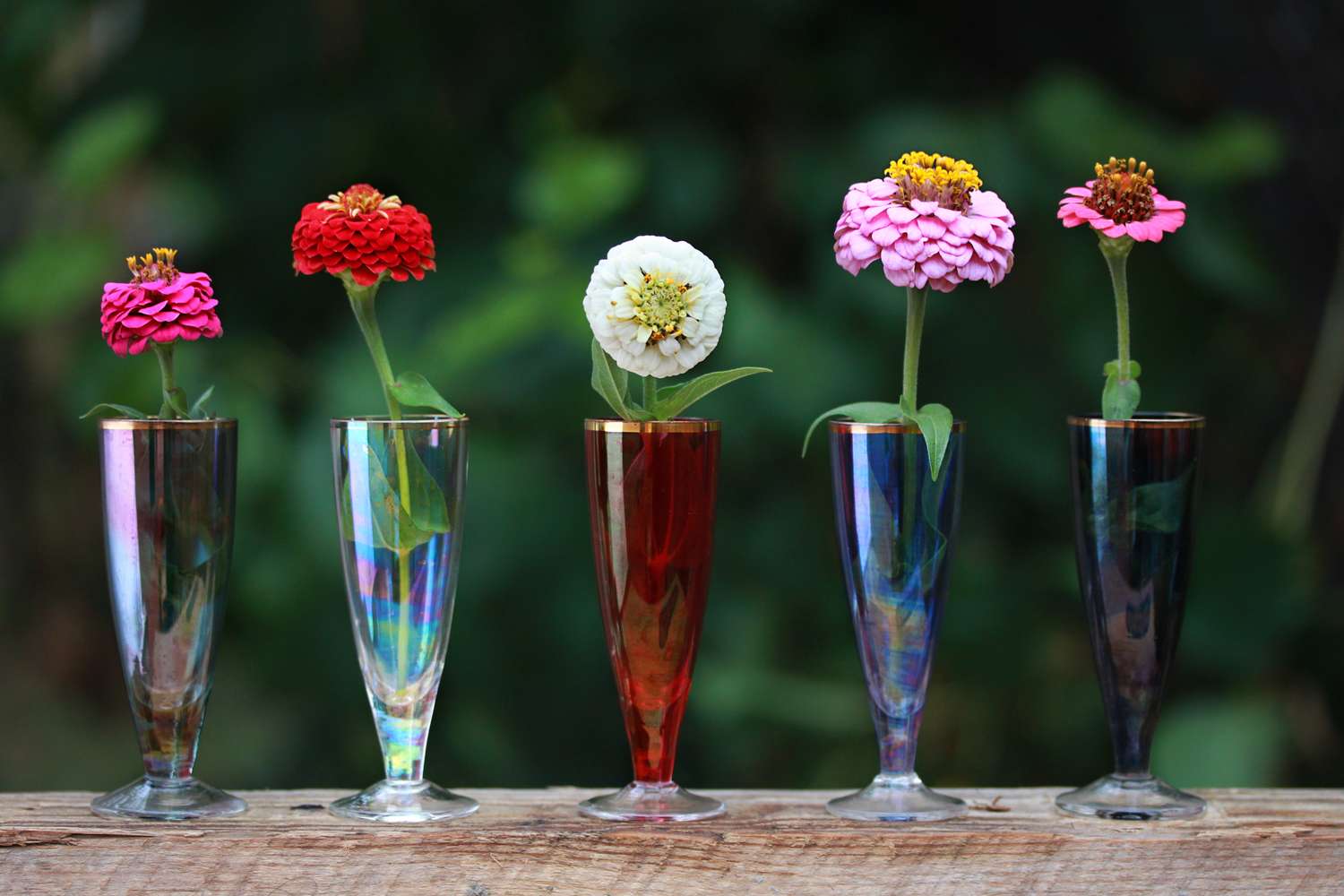 Five flowers arranged in individual vases on a wooden surface