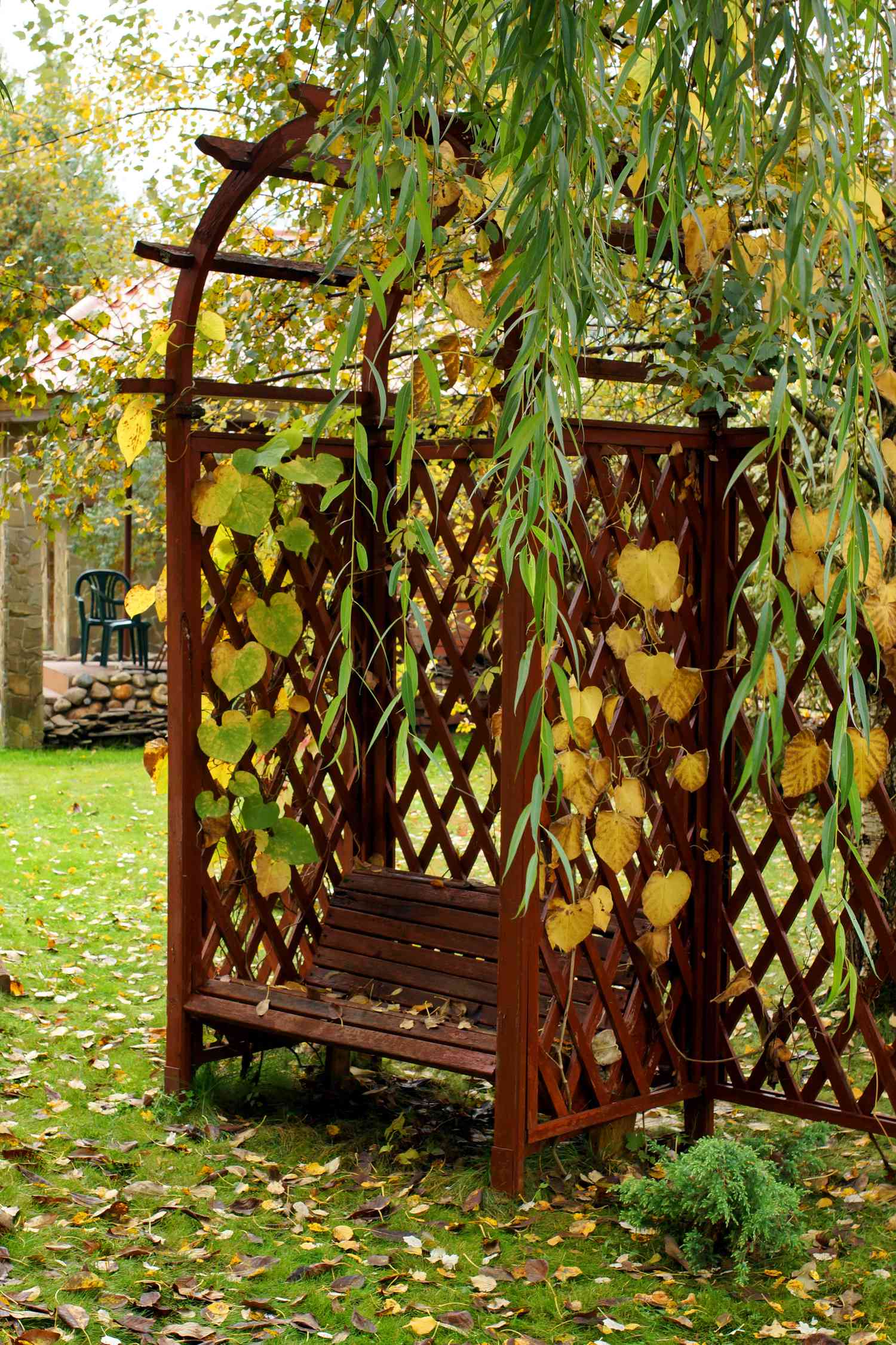 Arbour and Summer Pergola in garden