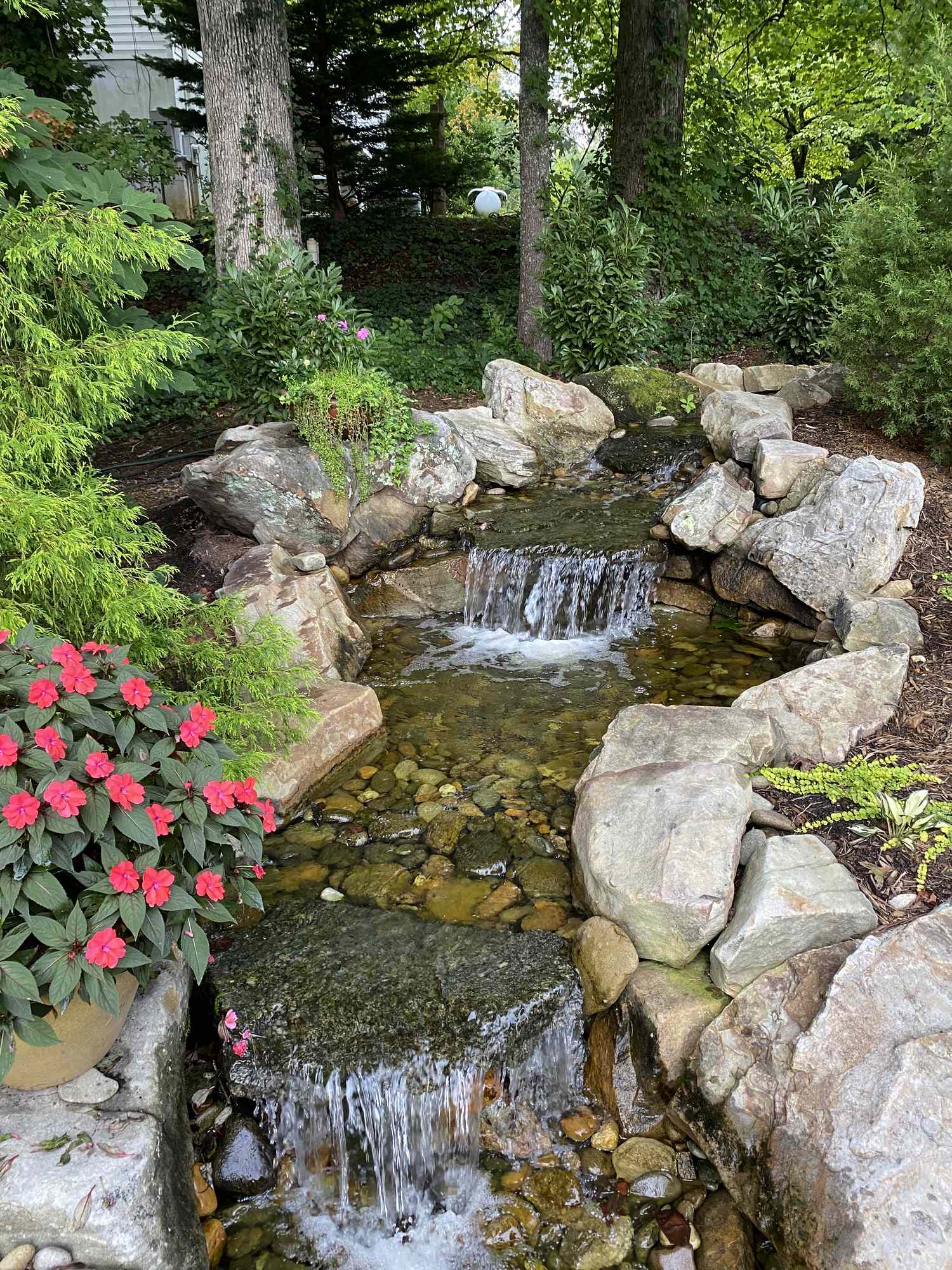 cascading waterfall in backyard pond