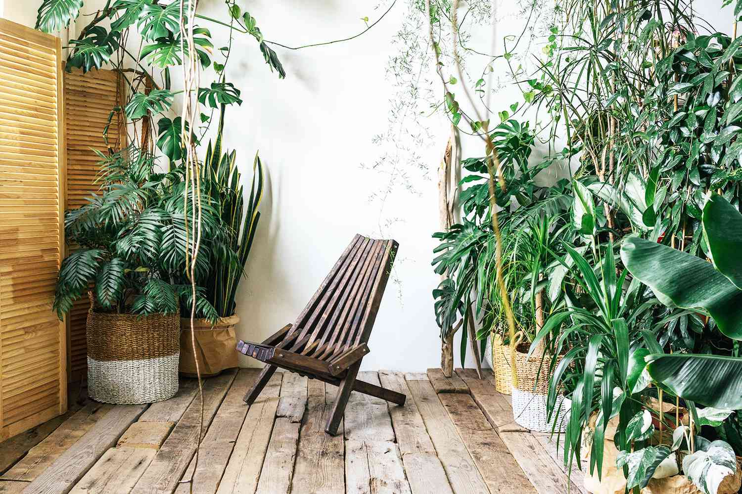 Interior design with wooden elements and plants