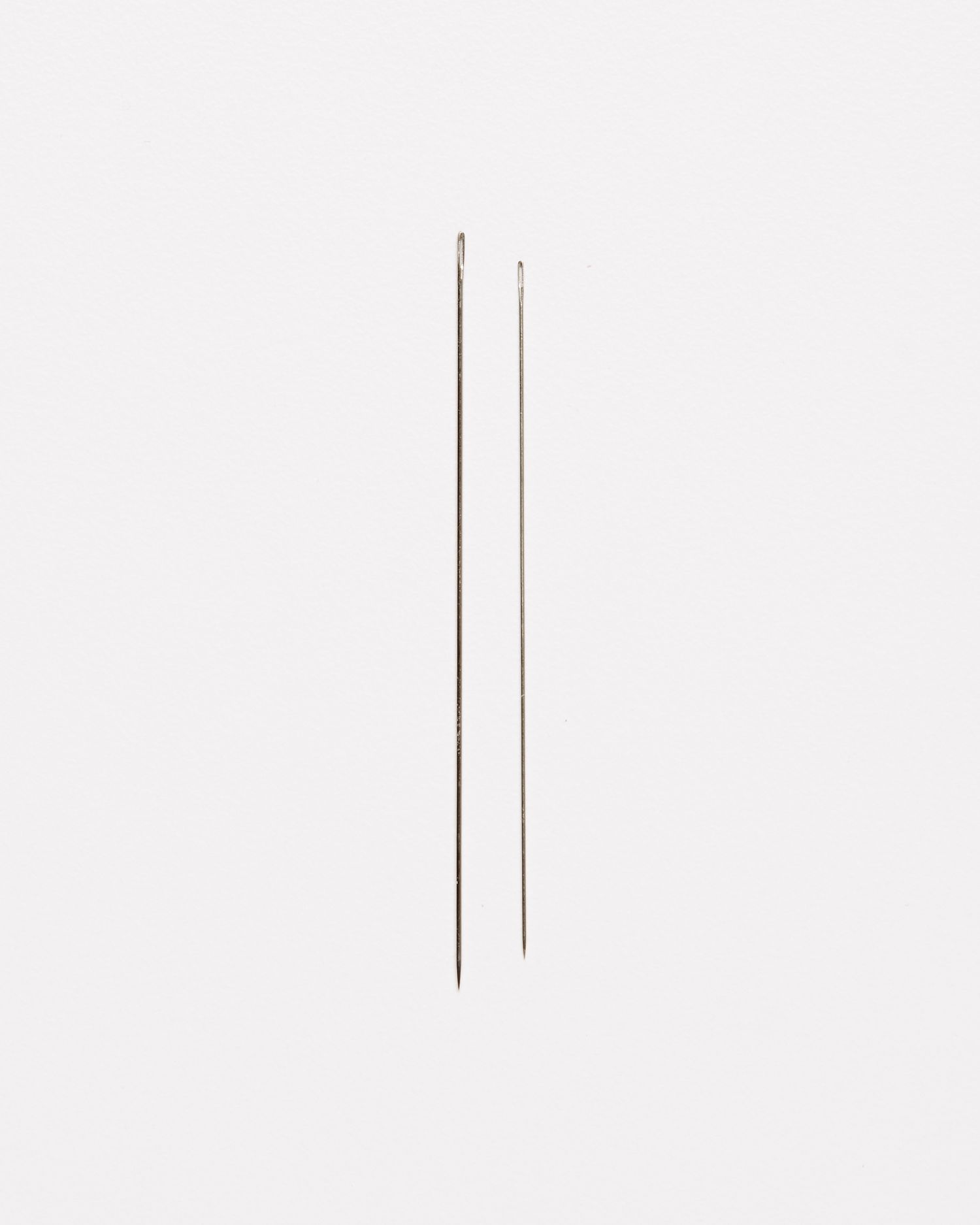 two embroidery beading needles against a white background