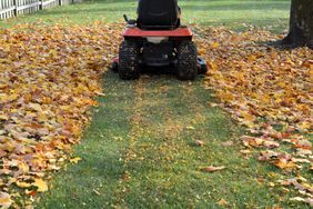 A lawn mower clearing autumn leaves from a grass yard leaving a clean path amid scattered foliage