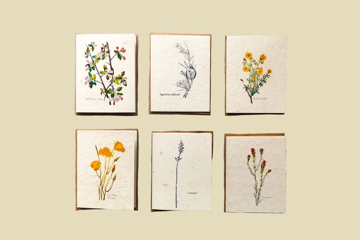 MarissaKayApothecary Plantable Seed Cards With Envelopes