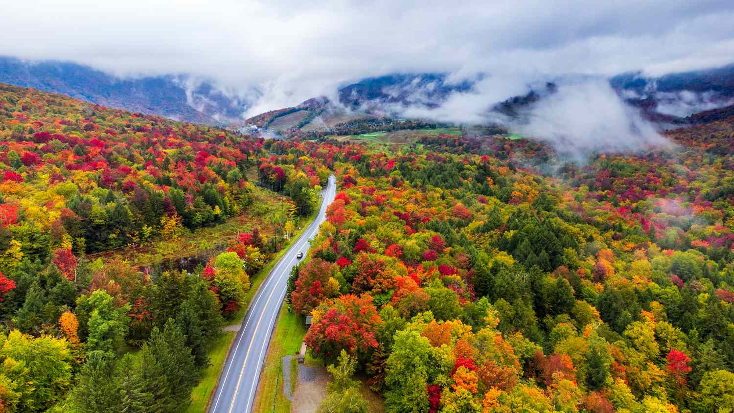A road winding through a forested landscape with hills in the background and fog over the treetops