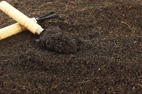 Close up fertile loamy soil for planting 