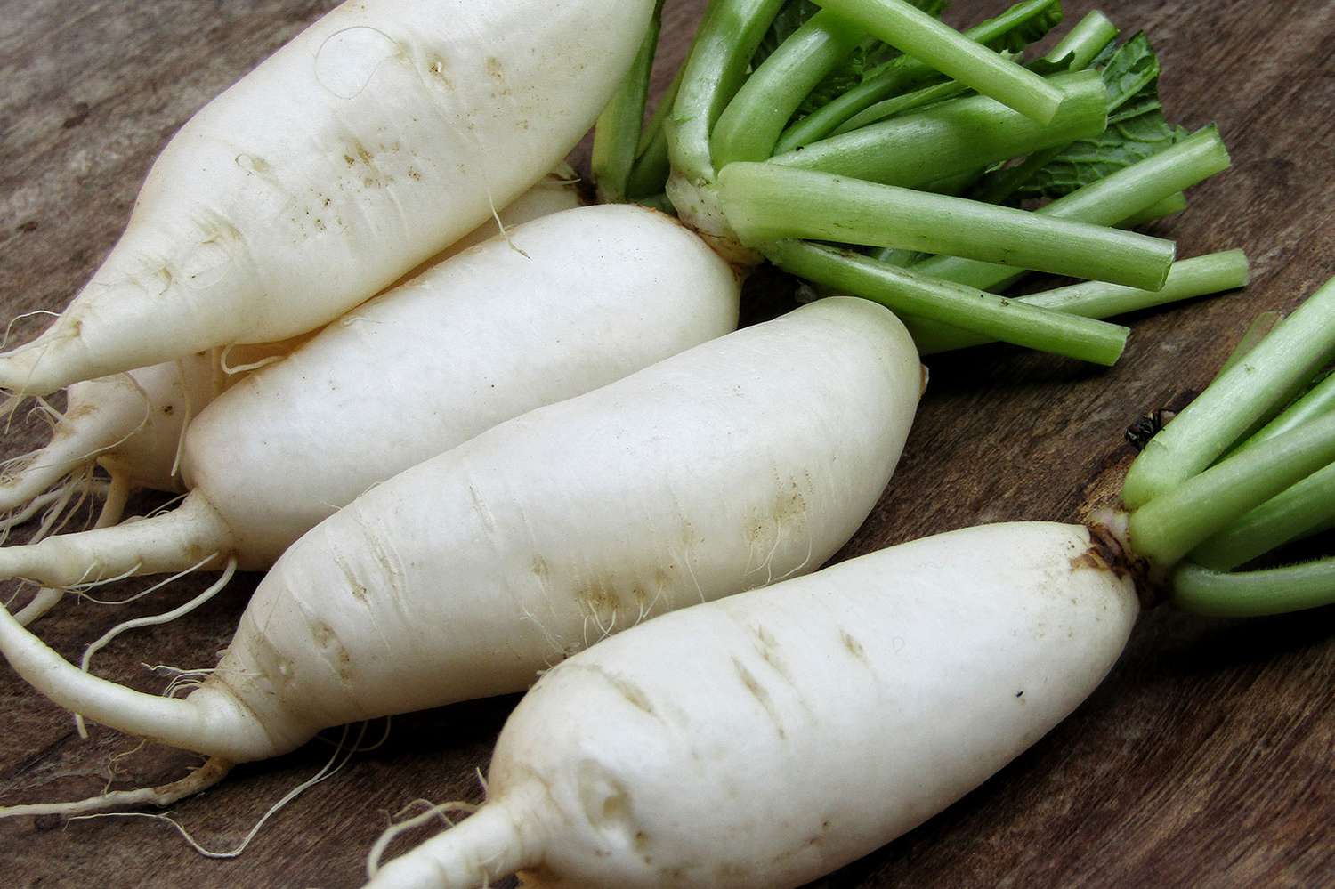 Daikon Radish