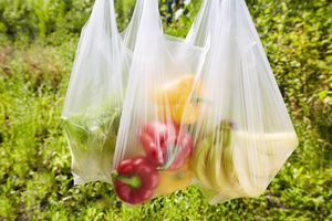 Grocery bags containing fruits and vegetables