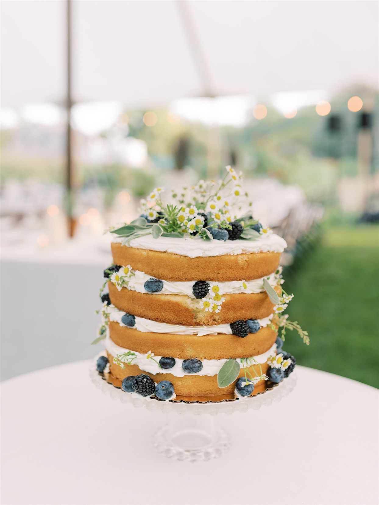 samantha cody wedding naked layer cake with blue and blackberries
