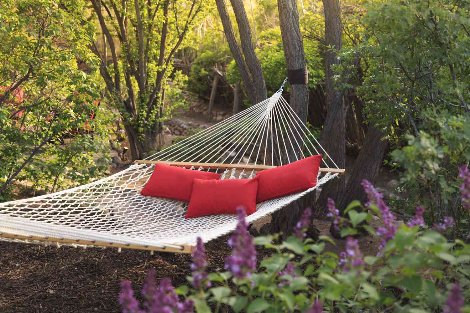 Red Hammock in the Garden