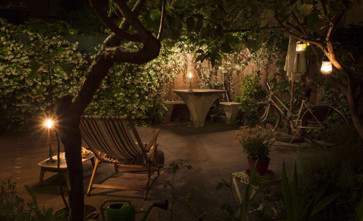 garden with lighting