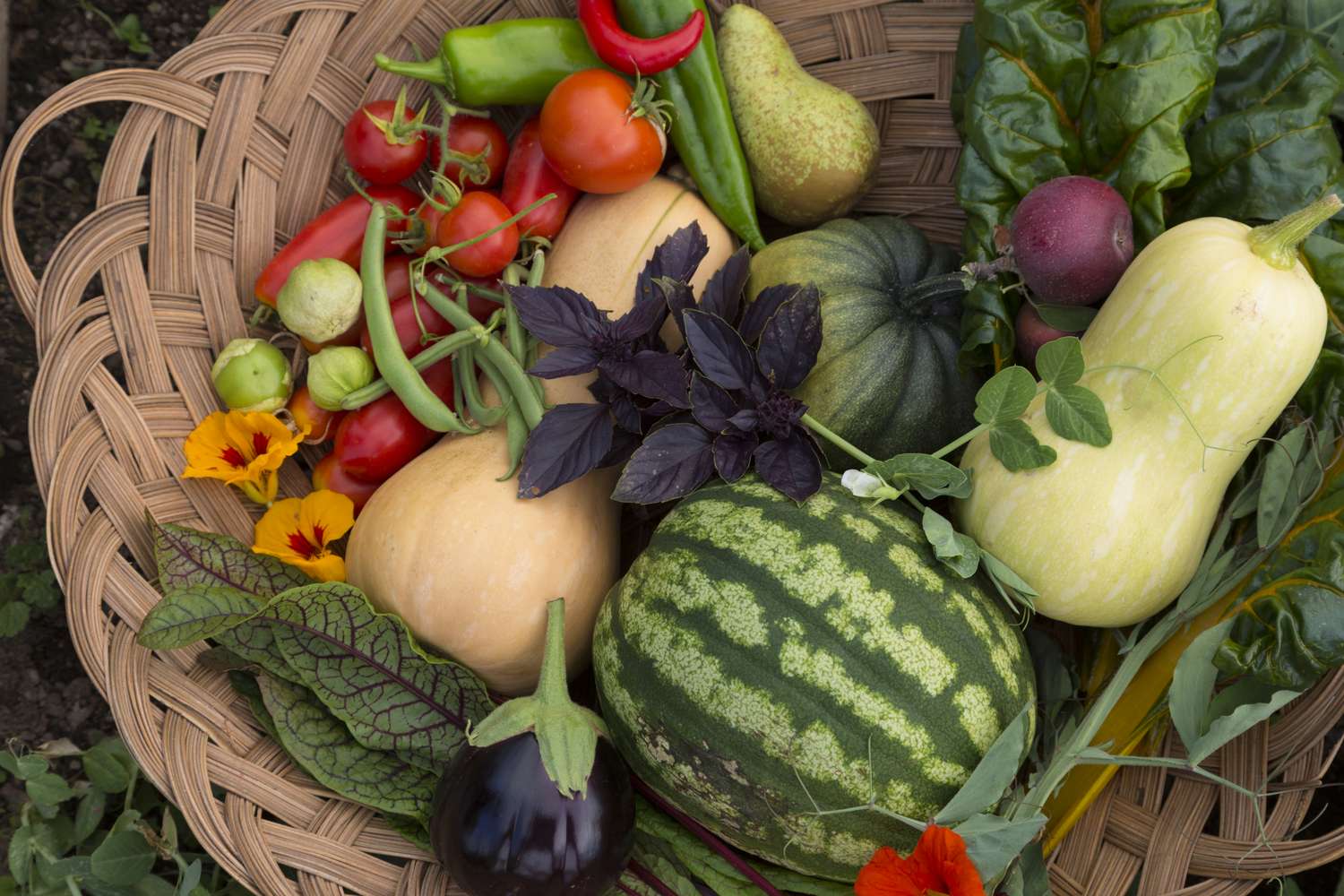 A wicker basket filled with assorted vegetables and fruits including squash watermelon tomatoes and leafy greens