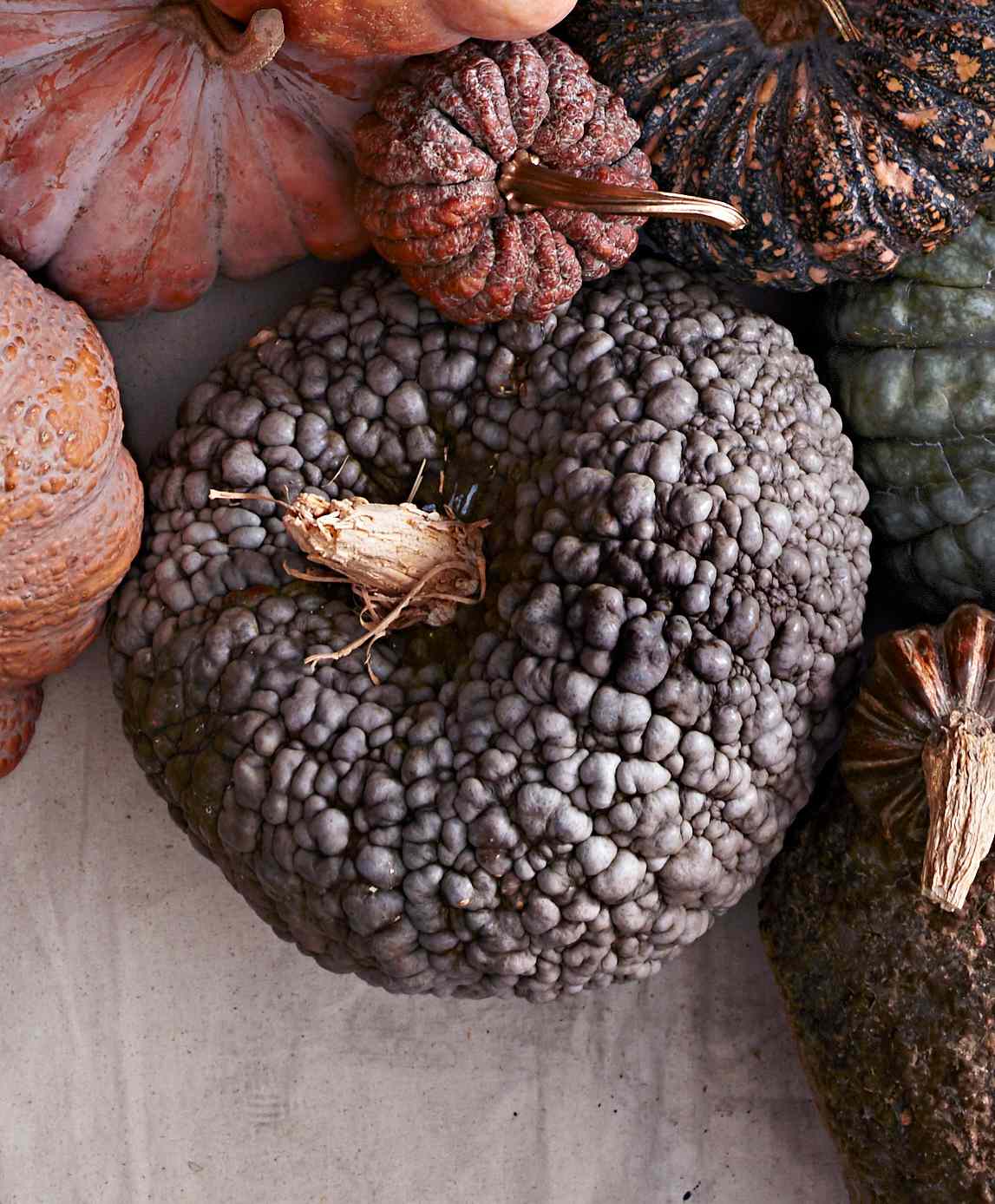 black futsu pumpkin variety