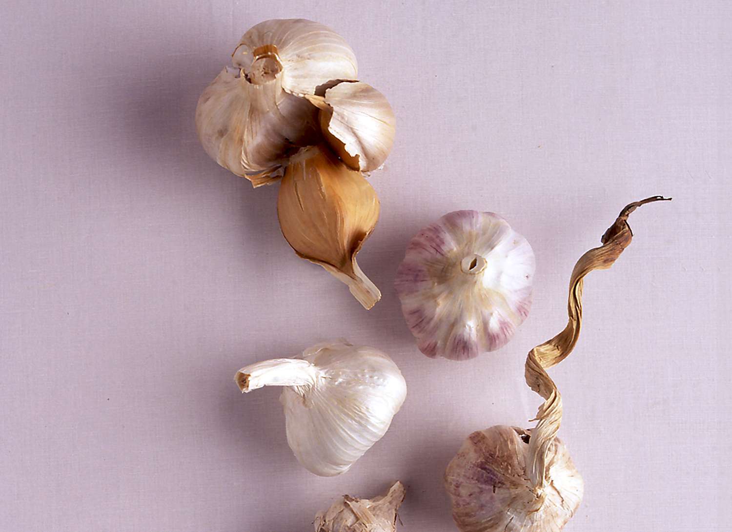 multiple garlic bulbs on a pale purple background