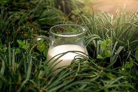milk jugs