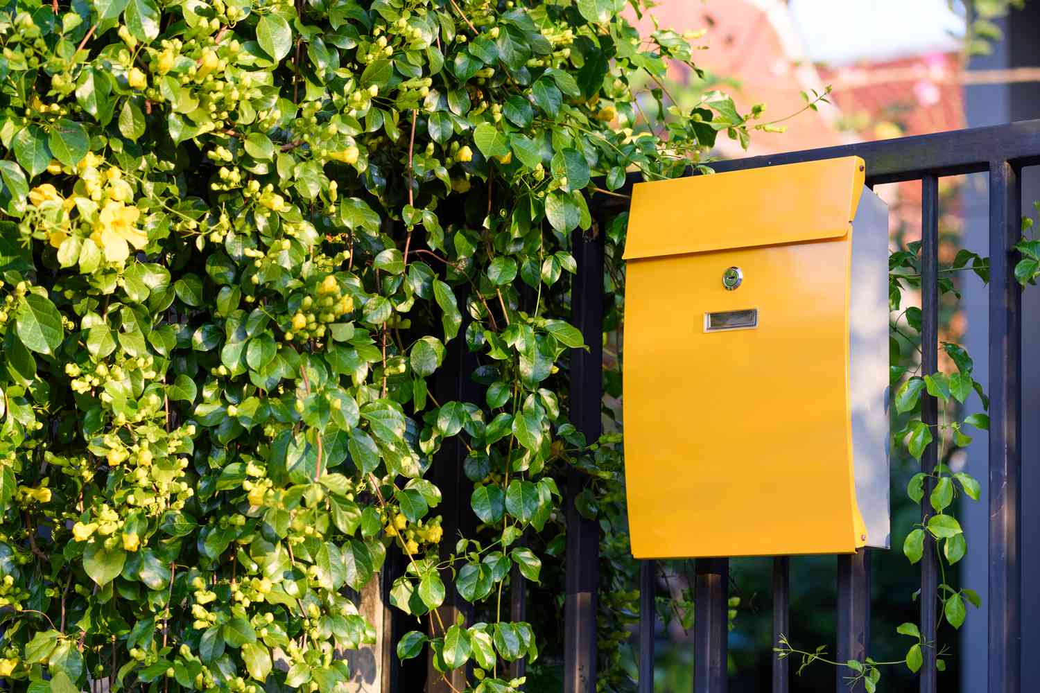 Yellow mailbox on fence