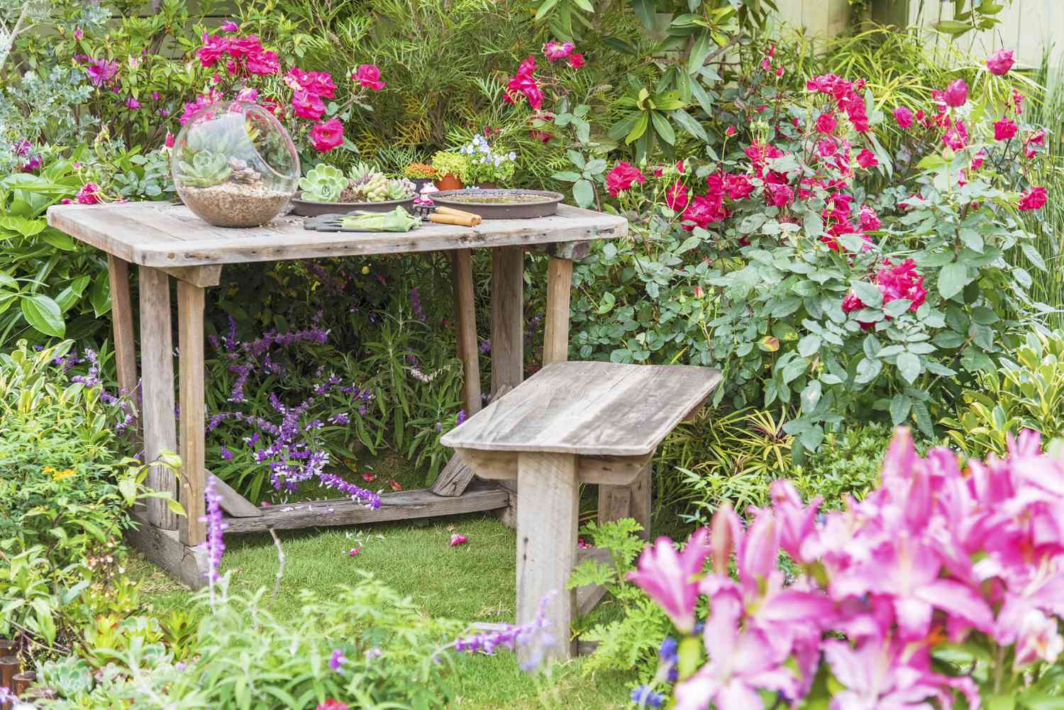 Gardening tools on table and spring flower on the terrace in garden