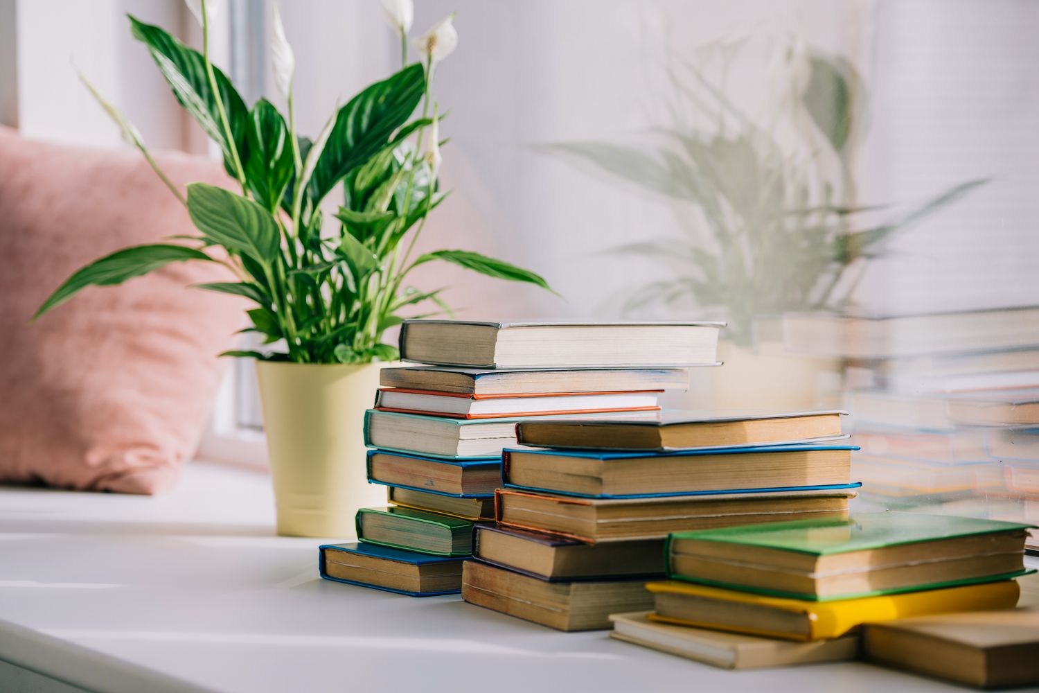 Stacked books near window with plant