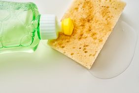dish soap on sponge