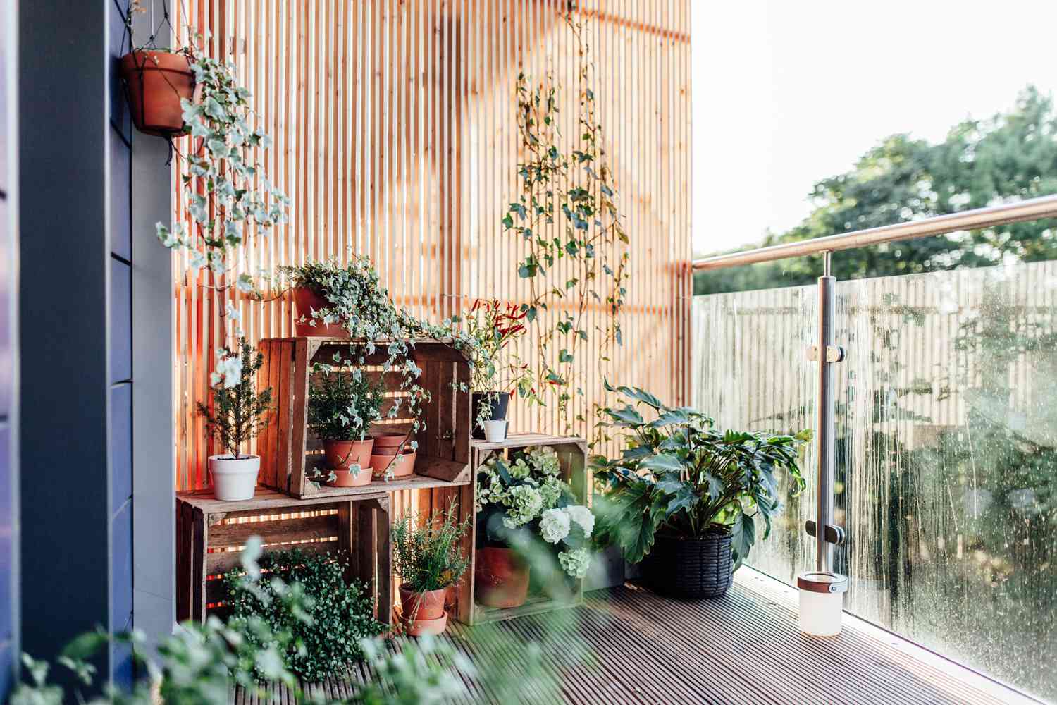 Crates and plants on balcony