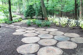 Pathway created using circular stonelike slabs set in a wooded area with greenery and surrounding trees