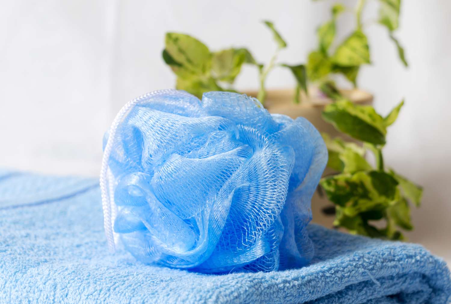 A loofah on a folded towel with green leaves in the background