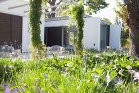 Patio and garden in rear of modern home