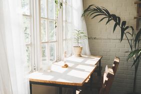 Desk in front of window with plants