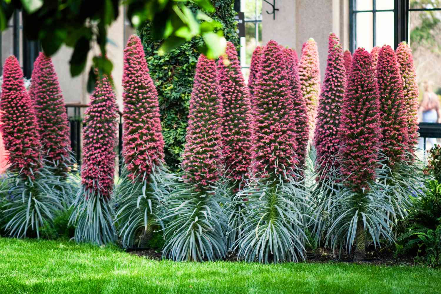 Tower of Jewels flowers