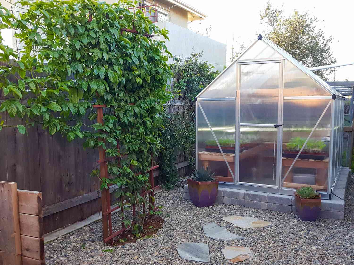 Modern Greenhouse