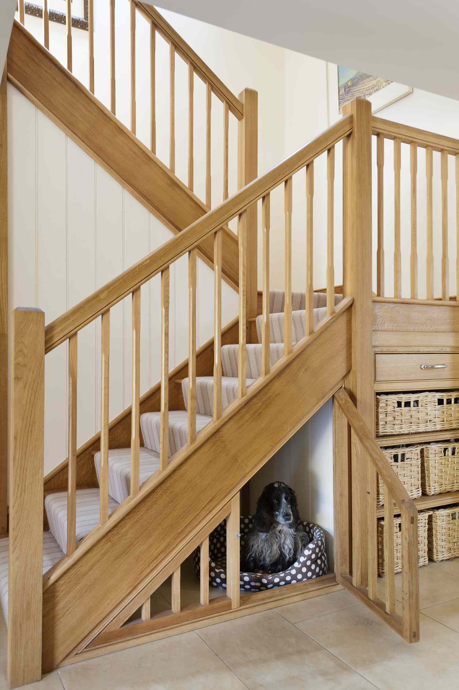 Dog resting in a space under wooden stairs with storage baskets nearby