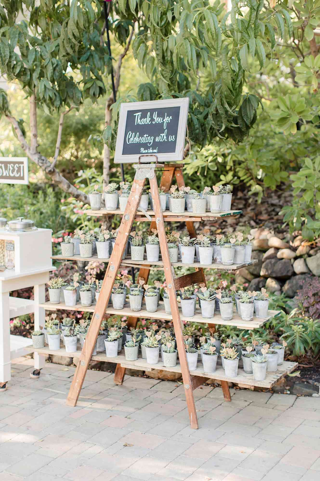 favor display with succulents