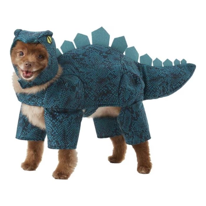 A small dog dressed in a dinosaur costume standing and looking forward the outfit comprises soft fabric and features ridges resembling a dinosaurs back