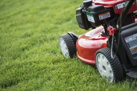 Lawn mower cutting grass
