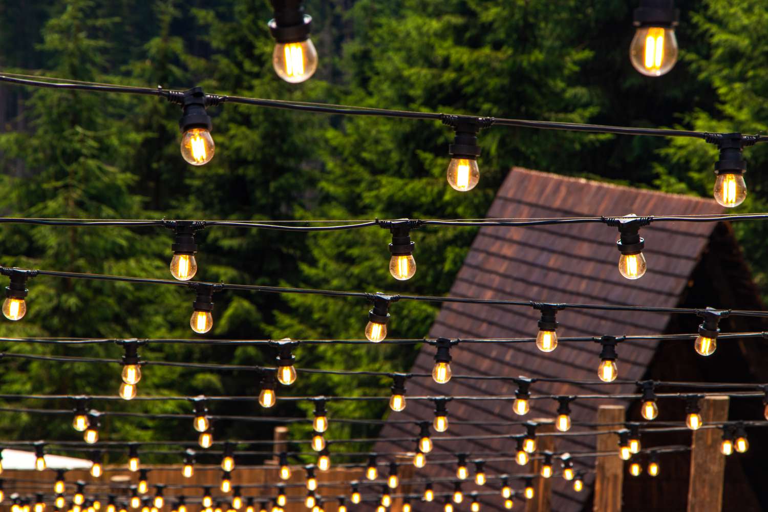 Backyard string lights