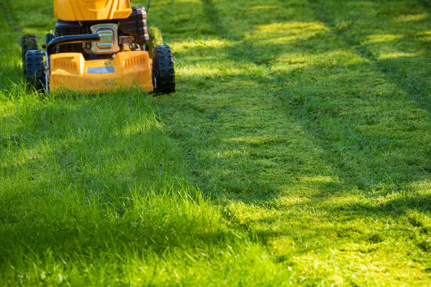 Lawn being mowed with a lawnmower, half-cut grass visible
