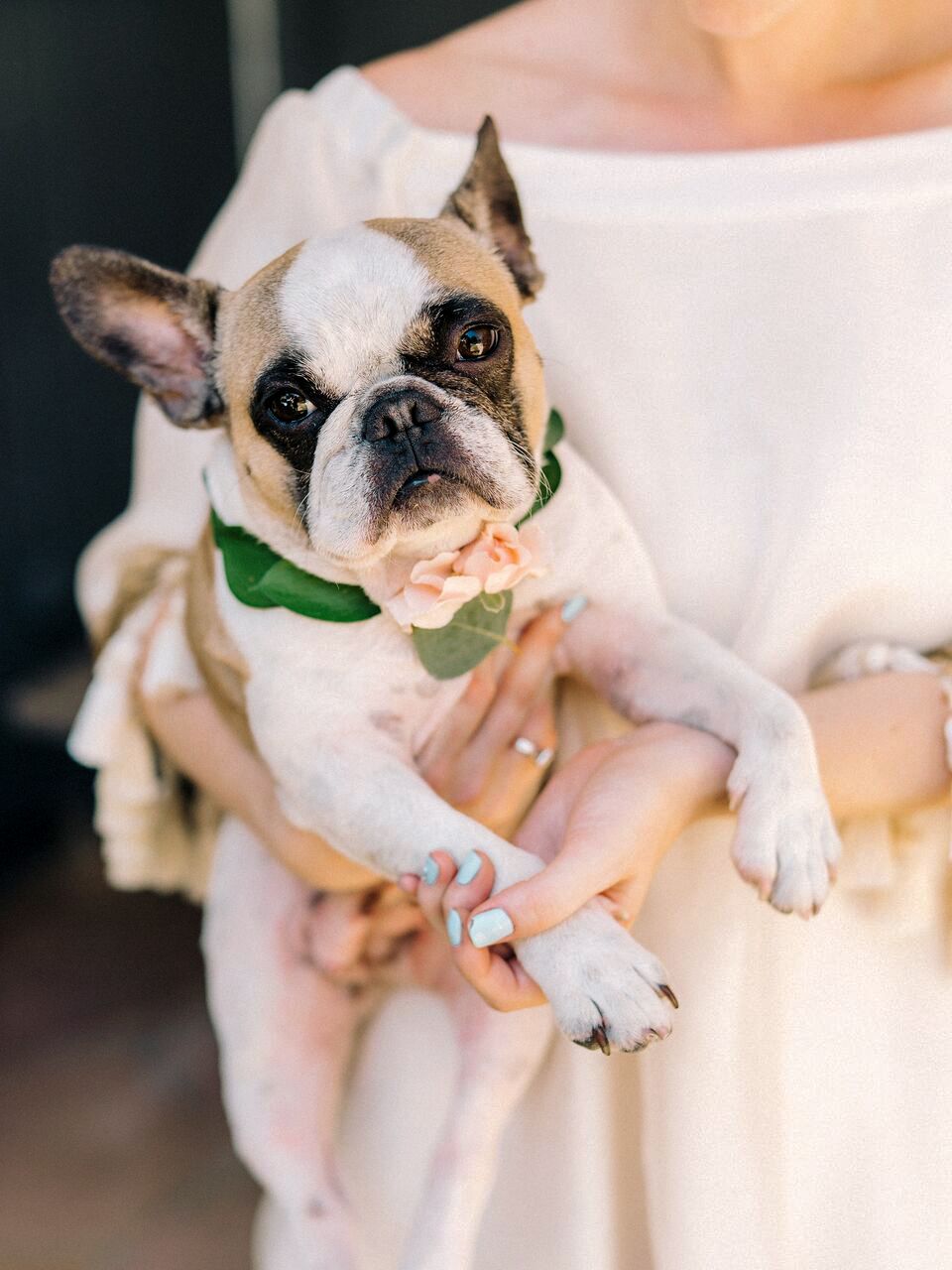 french bridal shower steve steinhardt