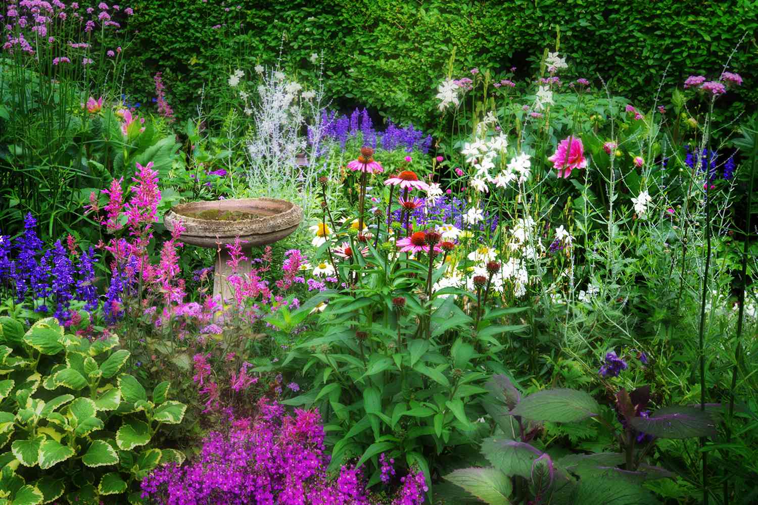 Cottage garden
