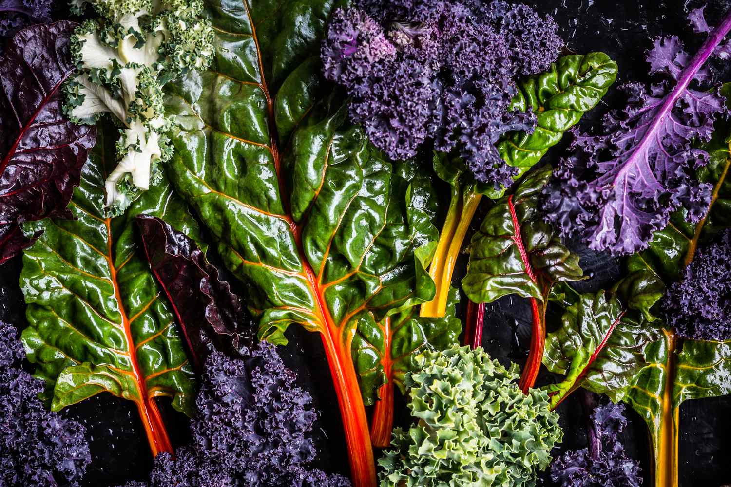 Freshly Harvested Kale Vegetable Varieties