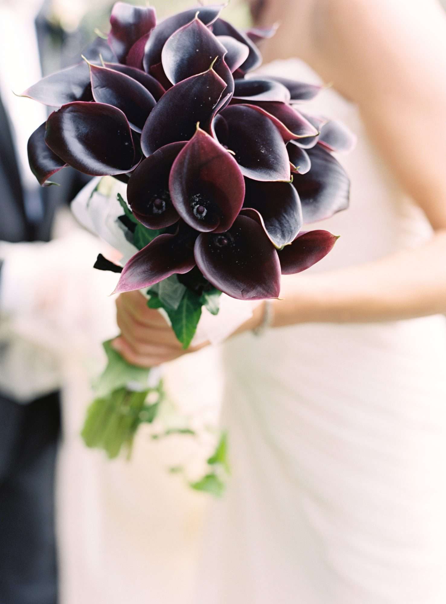 bouquet with dark purple calla lilies