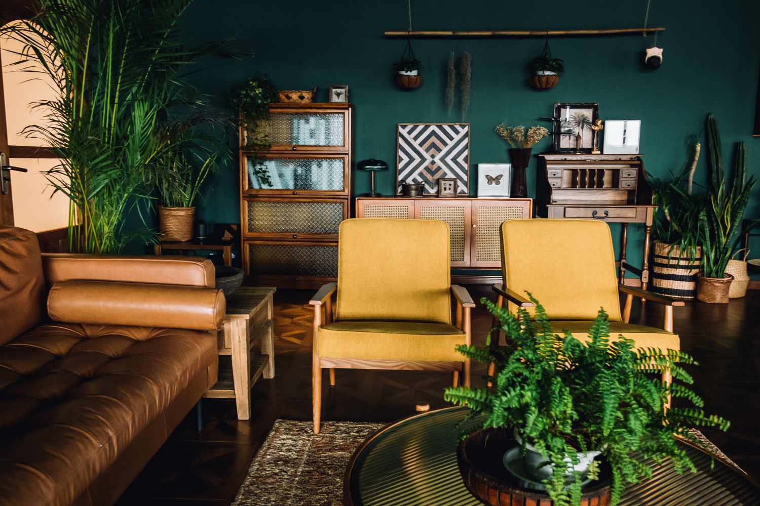A stylish living room interior with brown and yellow coloured furniture and wooden elements with dark green coloured wall. Decorated with plants and butterfly specimen