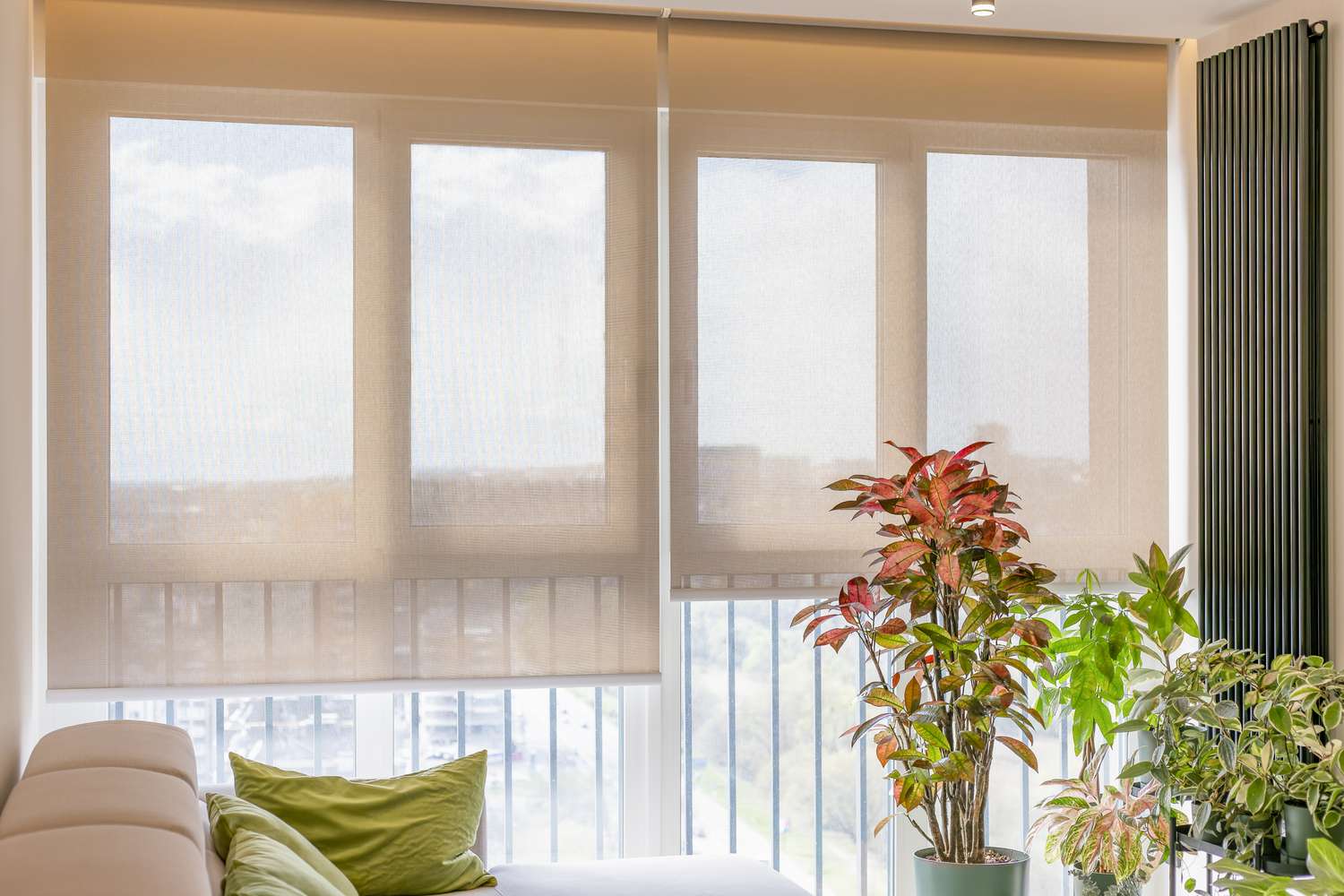 Living room area with a sofa indoor plants and large windows with blinds