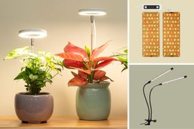 Various types of grow lights illuminating potted plants