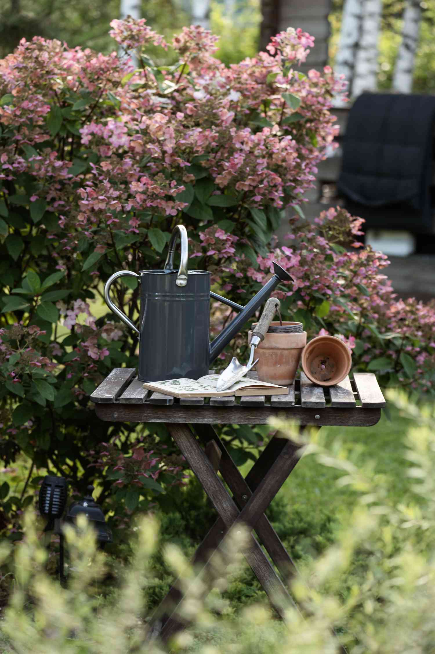 watering can on gardener table with trowel and clay flower pots. Hydrangea paniculata on background