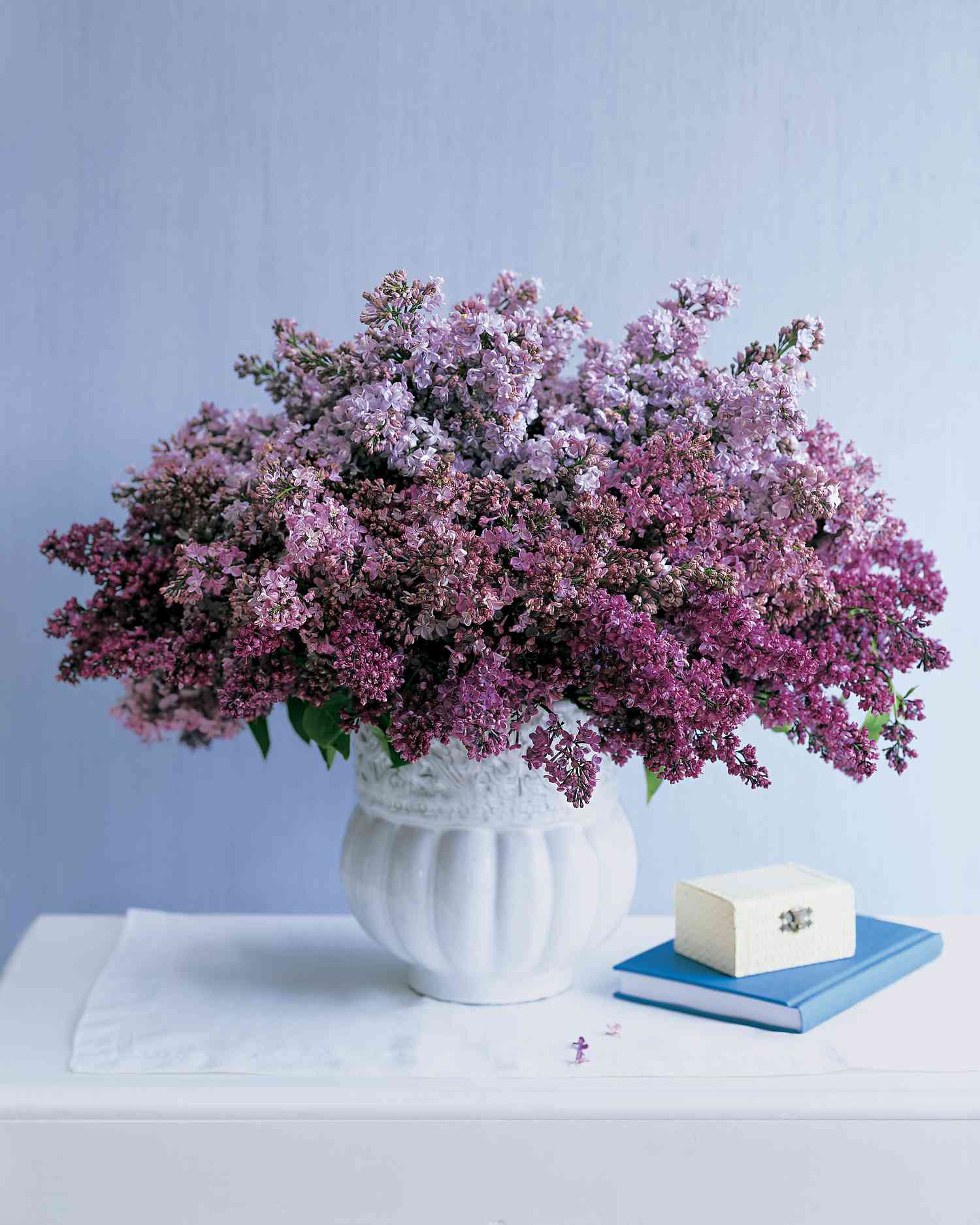 mla102464_0507_lilac.jpg