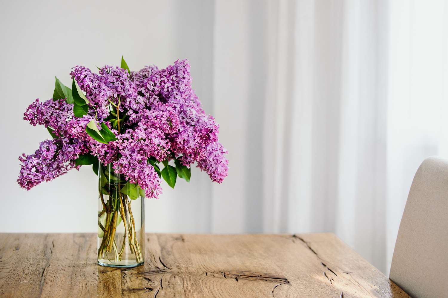 Lilacs in vase