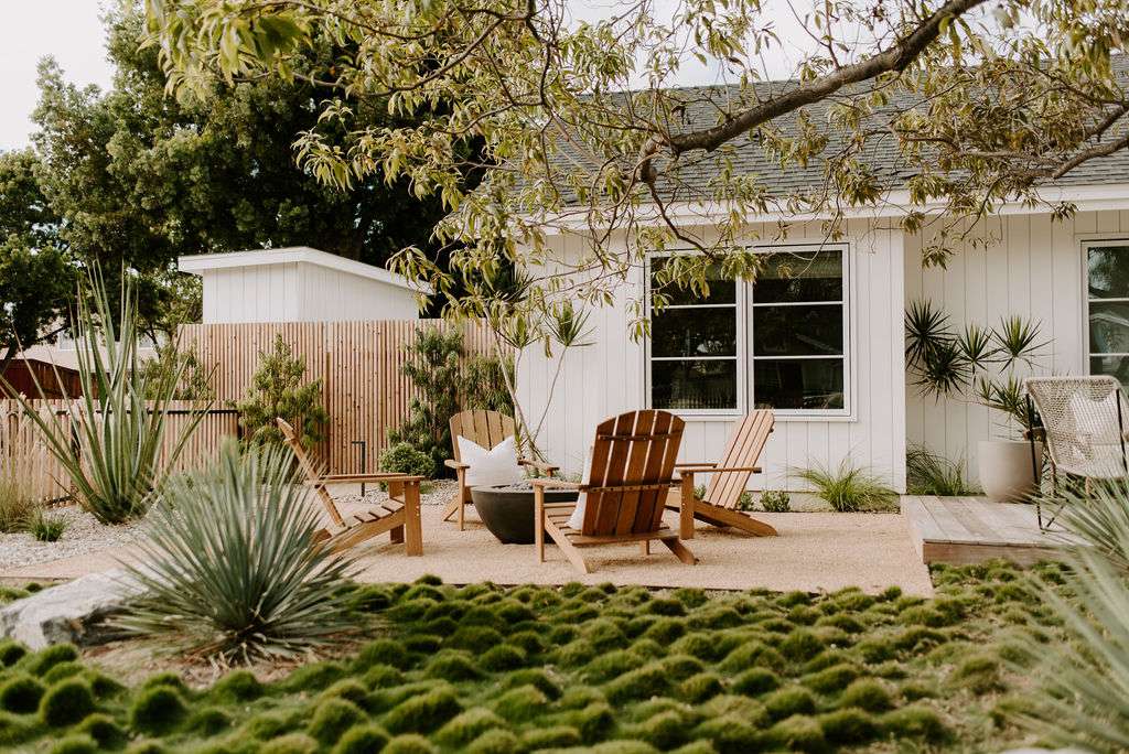 Korean Grass alternative lawn